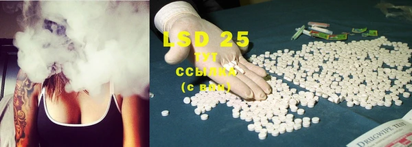 PSILOCYBIN Кодинск