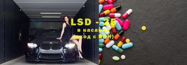 PSILOCYBIN Кодинск
