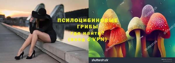 MDMA Premium VHQ Козловка