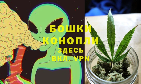 PSILOCYBIN Кодинск