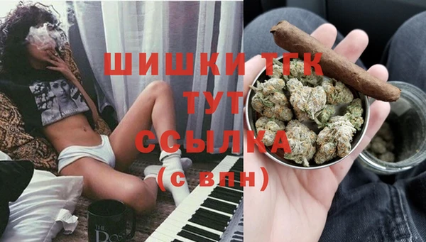PSILOCYBIN Кодинск