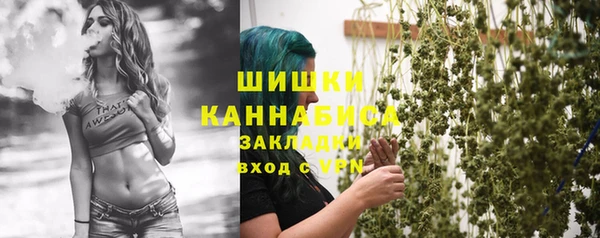 PSILOCYBIN Кодинск