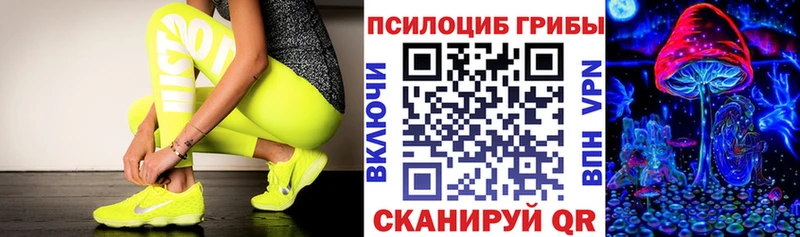 Купить закладки  Котельники  Псилоцибиновые грибы MAGIC MUSHROOMS 